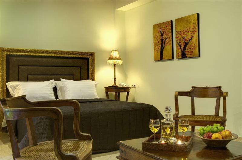 Iatrou Guesthouse Portaria  Room photo