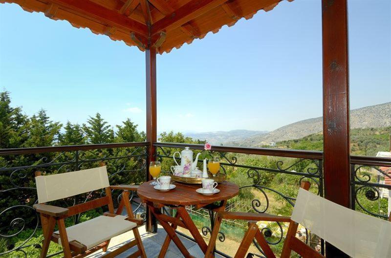 Iatrou Guesthouse Portaria  Room photo