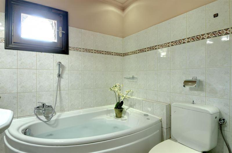 Iatrou Guesthouse Portaria  Room photo