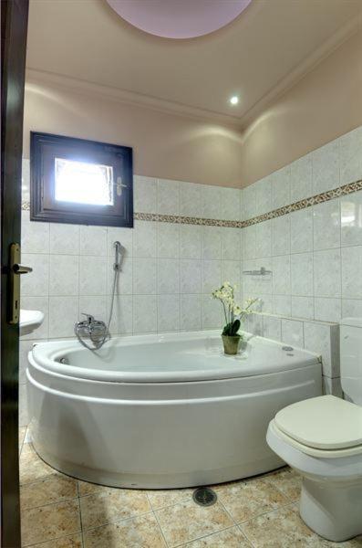 Iatrou Guesthouse Portaria  Room photo