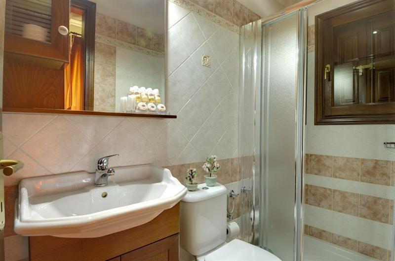 Iatrou Guesthouse Portaria  Room photo
